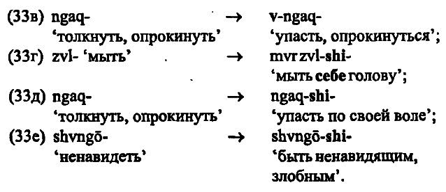 40 лет Санкт-Петербургской типологической школе - i_082.png