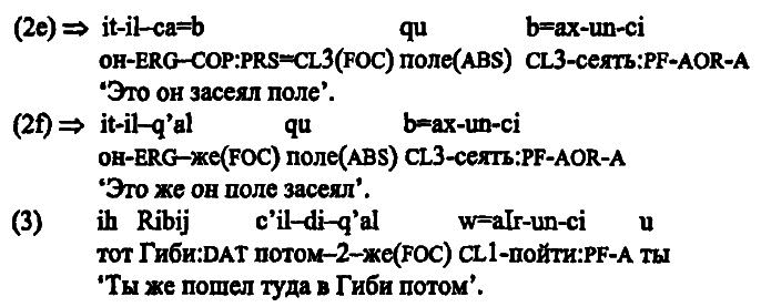 40 лет Санкт-Петербургской типологической школе - i_105.png