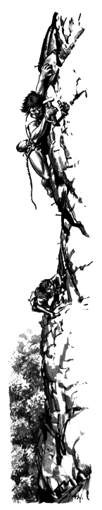 Легенды. Приключения и сражения - i_026.png