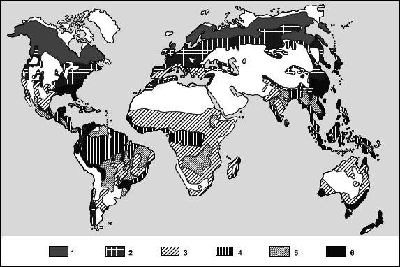 Географическая картина мира Пособие для вузов Кн. I: Общая характеристика мира. Глобальные проблемы человечества - i_055.png
