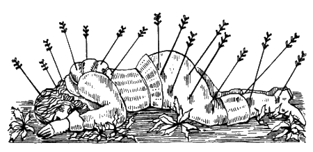 Подвиг Магеллана - i_016.png