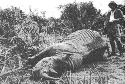 100 великих украинцев - i_110.jpg_0