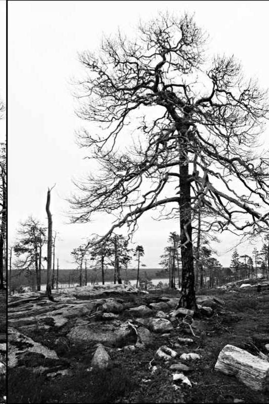 Краткий курс фотографии для начинающих. Съемка в путешествии - _11.jpg