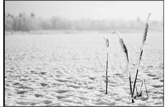 Краткий курс фотографии для начинающих. Съемка в путешествии - _9.jpg