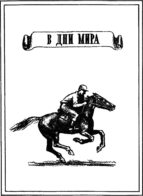 На коне — через века - i_015.png