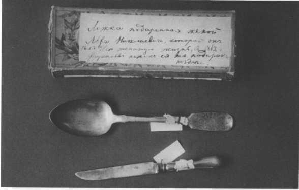 Софья Толстая - i_013.jpg