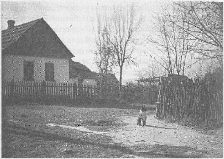 Вестник, или Жизнь Даниила Андеева: биографическая повесть в двенадцати частях - i_096.jpg