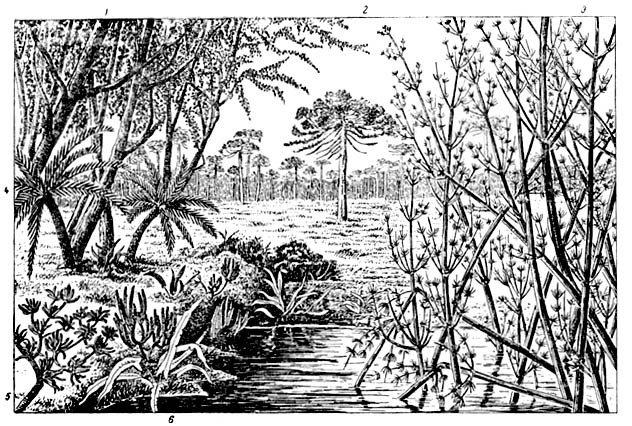 Происхождение растений - i_012.jpg