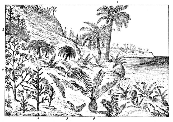 Происхождение растений - i_014.jpg