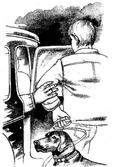 Блин и зеленая макака - i_006.jpg