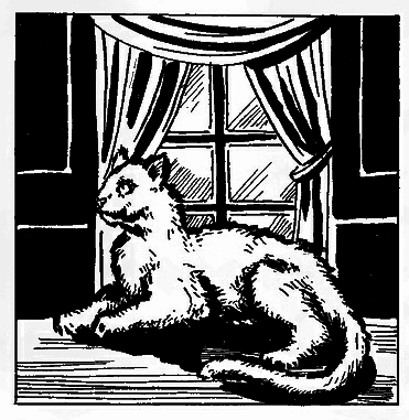 Бойся Кошек - i_018.png