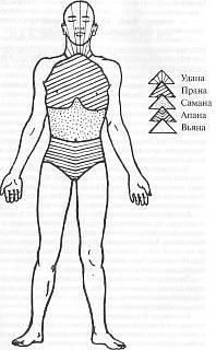 Хатха-йога Прадипика - _106.jpg