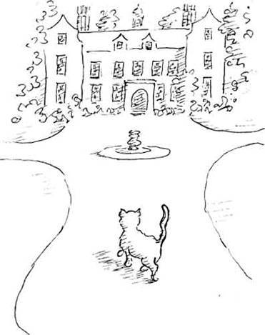 Леди Кошка - pic_49.jpg