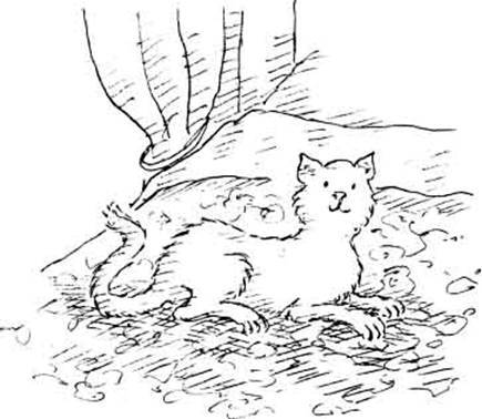 Леди Кошка - pic_51.jpg