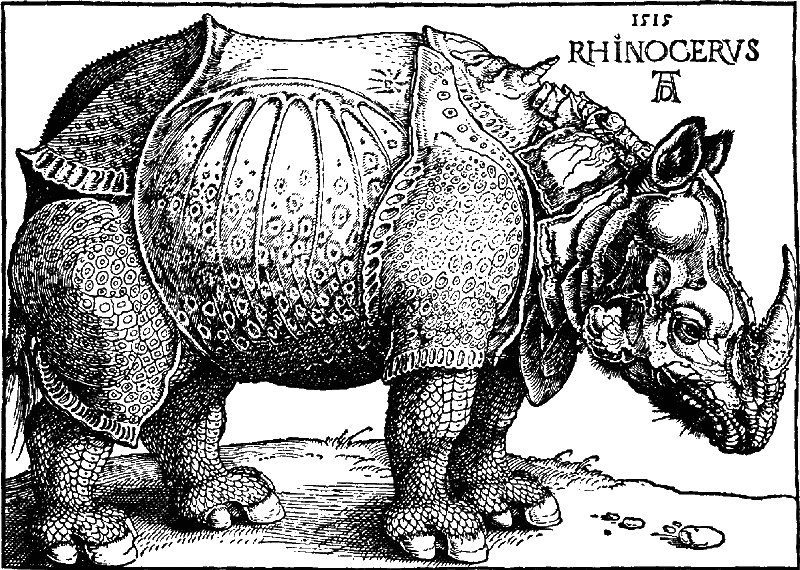 Носорог для Папы Римского - i_001.png