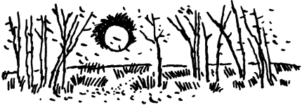 Методика обучения сольному пению - i_010.png