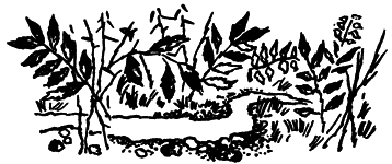 Методика обучения сольному пению - i_012.png