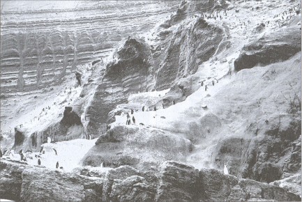 Загадки Шестого континента - i_011.jpg