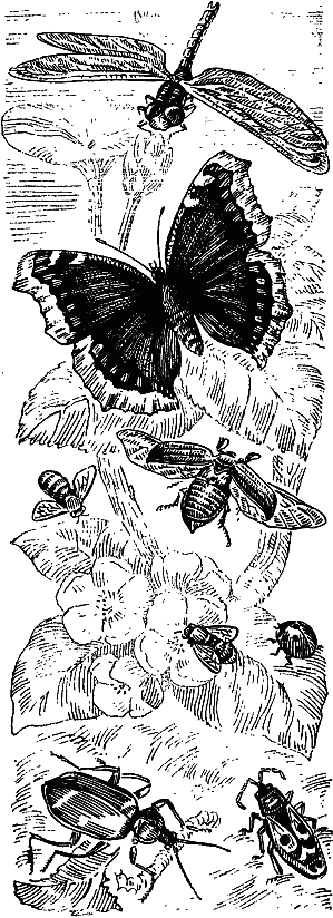 Путешествие в удивительный мир - _047.png