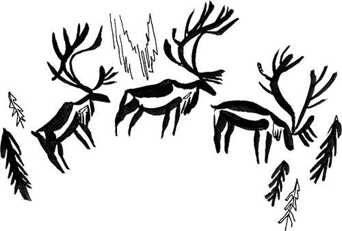 Тройной полярный сюжет - i_001.png