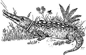 Разбойник Хотценплотц и муравейник с начинкой - i_015.jpg