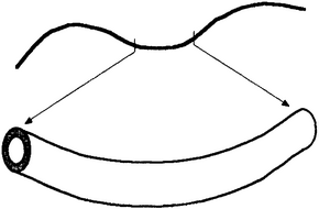 Истина и красота. Всемирная история симметрии. - i_050.png