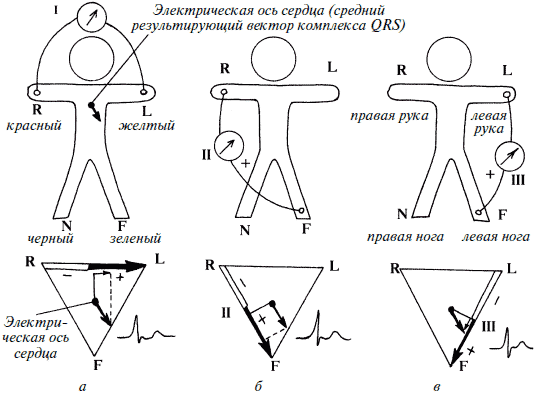 Полный медицинский справочник фельдшера - i_008.png