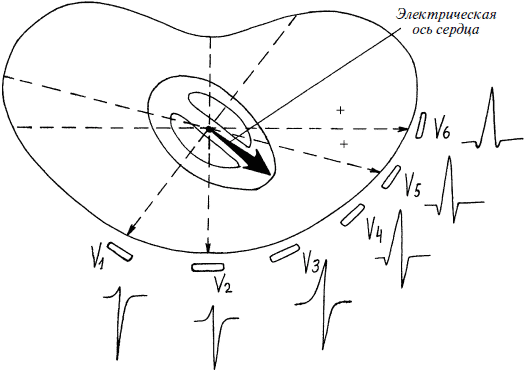 Полный медицинский справочник фельдшера - i_010.png