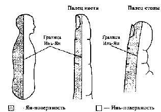 Пальцетерапия - _07.jpg