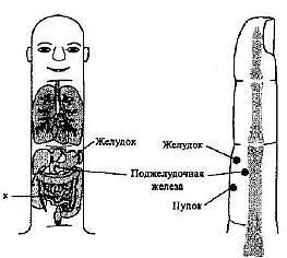 Пальцетерапия - _28.jpg