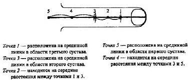 Пальцетерапия - _56.jpg