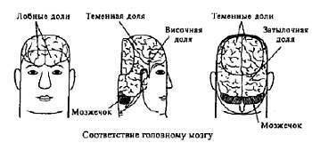 Пальцетерапия - _61.jpg