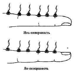 Пальцетерапия - _77.jpg