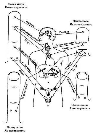 Пальцетерапия - _97.jpg