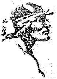 По следу оленя - i_005.jpg