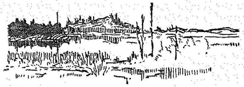 По следу оленя - i_006.jpg