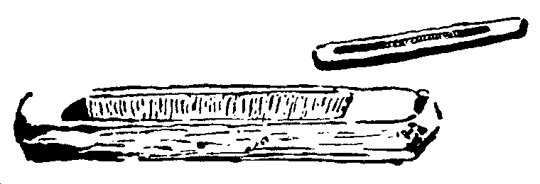 Рольф в лесах - pic071.png