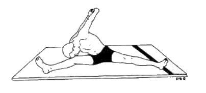 Асана, пранаяма, мудра, бандха - image122.jpg