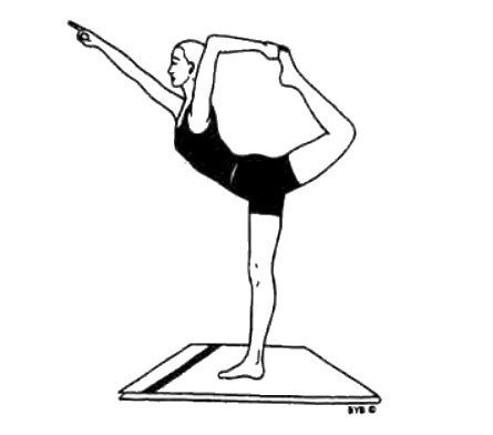 Асана, пранаяма, мудра, бандха - image173.jpg