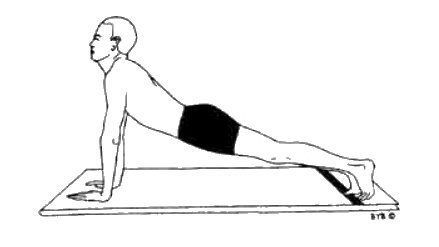 Асана, пранаяма, мудра, бандха - image179.jpg