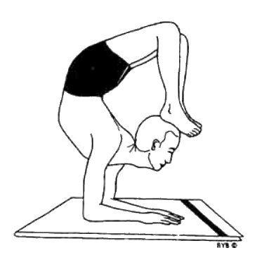 Асана, пранаяма, мудра, бандха - image187.jpg