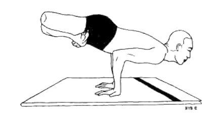 Асана, пранаяма, мудра, бандха - image189.jpg