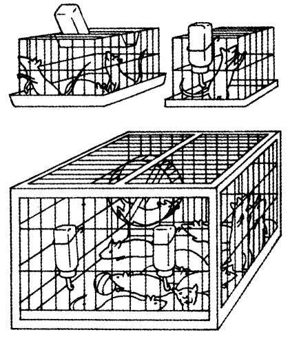 40 исследований, которые потрясли психологию - i_003.jpg