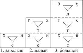 Книга ЗОАР - pic_20.jpg