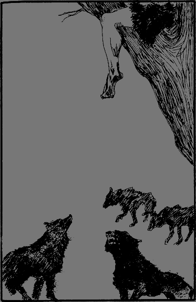 Капитан Памфил - _7.png