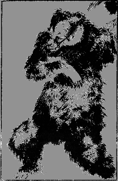 Капитан Памфил - _8.png