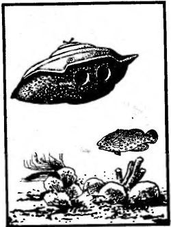 Чтобы не было в море тайн - p0059sel.jpg_0