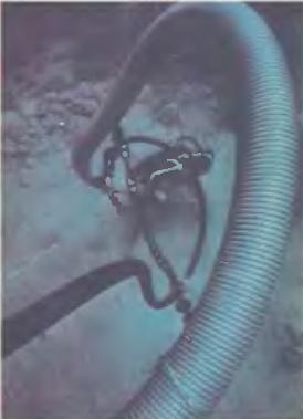 В поисках Атлантиды - i_104.jpg