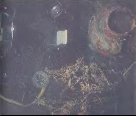 В поисках Атлантиды - i_106.jpg