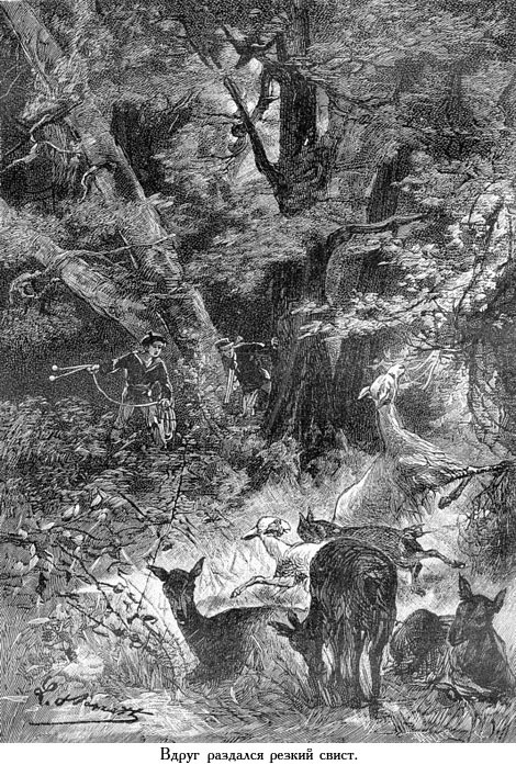 Два года каникул (с иллюстрациями) - _047.jpg